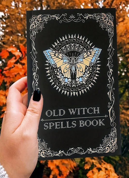 "The Old Wizard's Spellbook, written in English and focused on different types of spells."